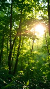 Crypto écologique : un avenir durable pour la blockchain