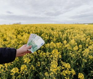 Déclarer ses revenus staking et yield farming