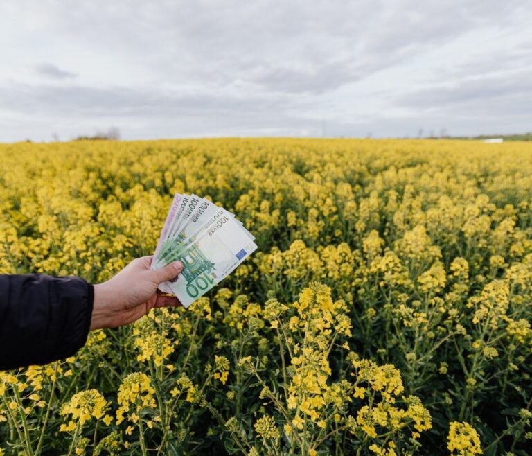 Déclarer ses revenus staking et yield farming 3 Déclarer ses revenus staking et yield farming