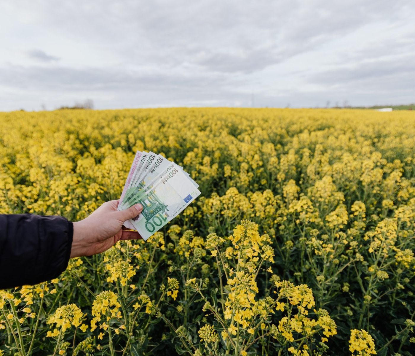 Déclarer ses revenus staking et yield farming 1 Déclarer ses revenus staking et yield farming
